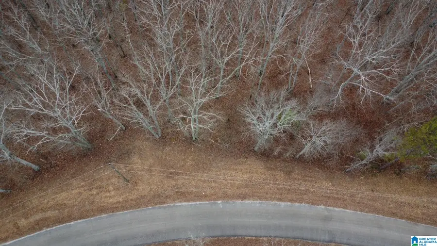 0 COUNTY ROAD 116, Heflin, AL 36264 - Image #2