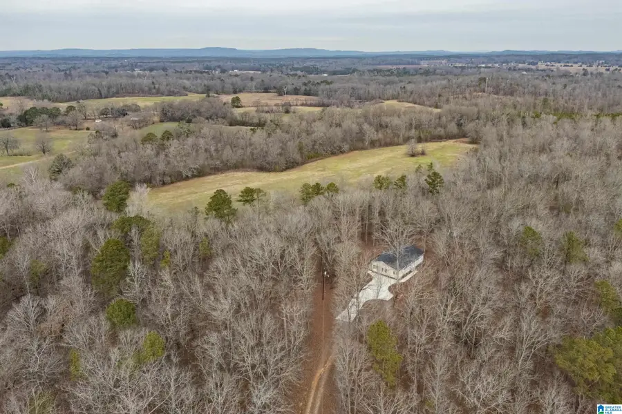 1825 HIGHWAY 48, Wilsonville, AL 35186 - #2