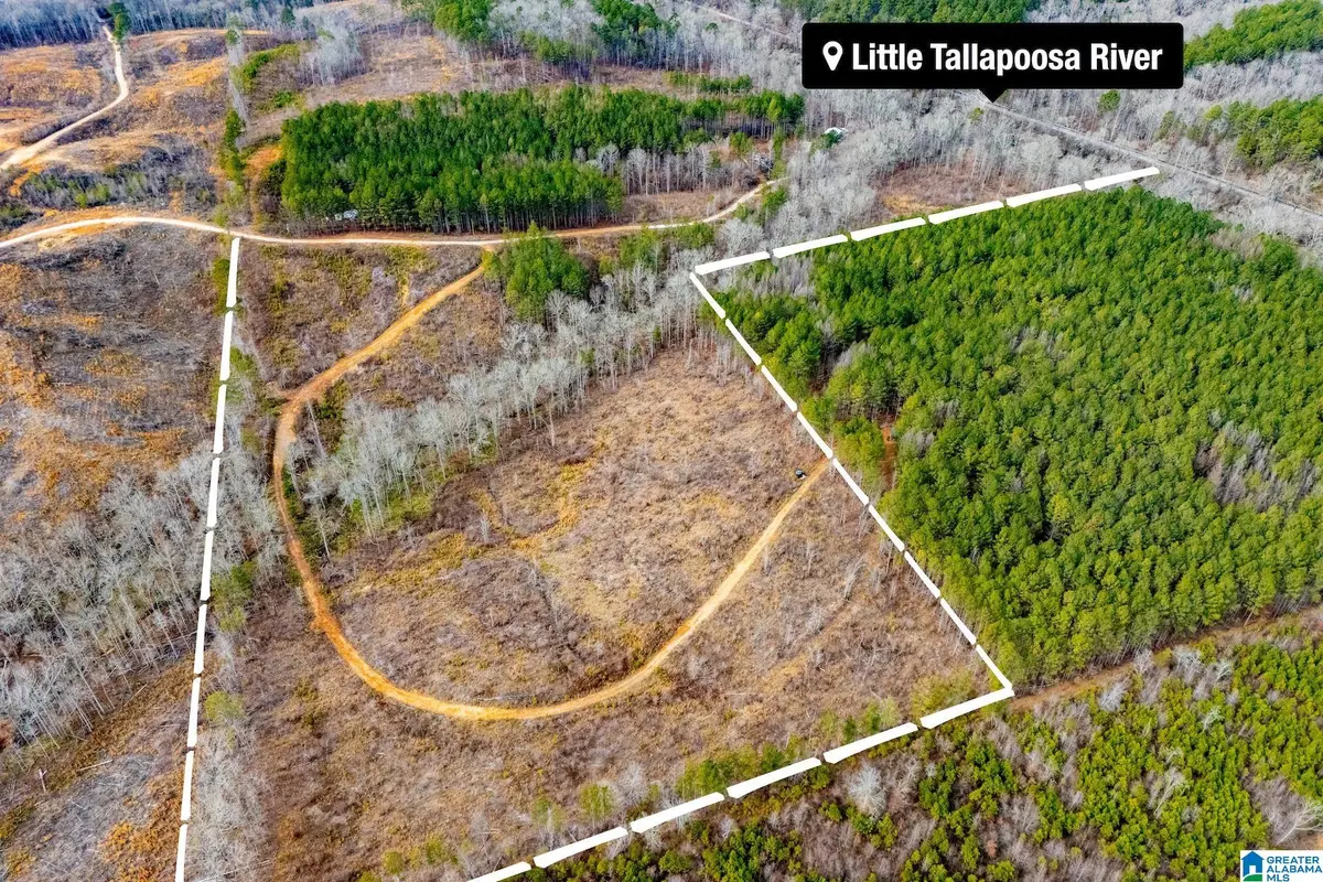 1365 COUNTY ROAD 290, Muscadine, AL 36269 - #1