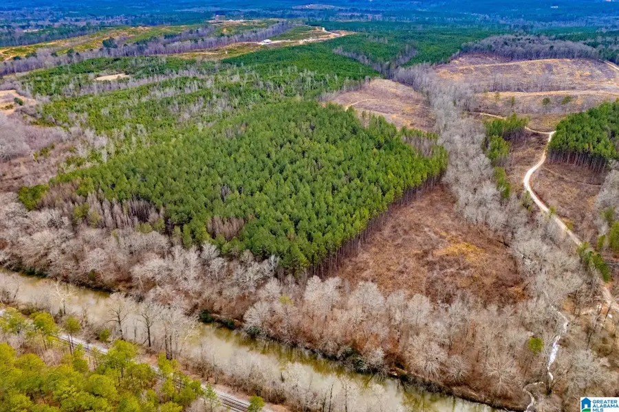 1365 COUNTY ROAD 290, Muscadine, AL 36269 - #3