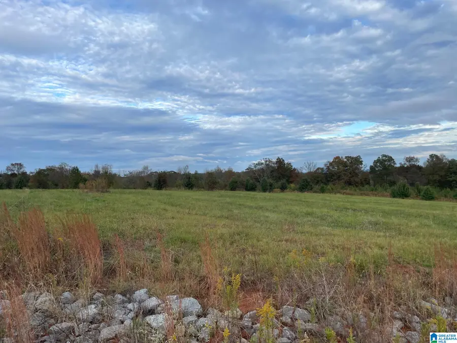 0 Payton Dr, Lo CADES COVE ROAD, Hayden, AL 35079 - #3