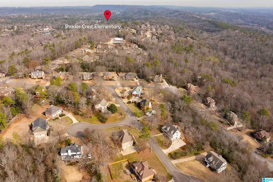 6212 SHADES POINTE LANE, Hoover, AL 35244 - Image #2