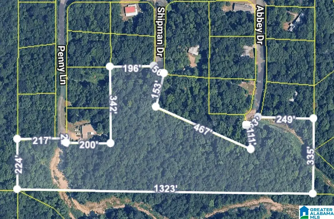 0 ABBEY DRIVE, Odenville, AL 35120 - Image #1