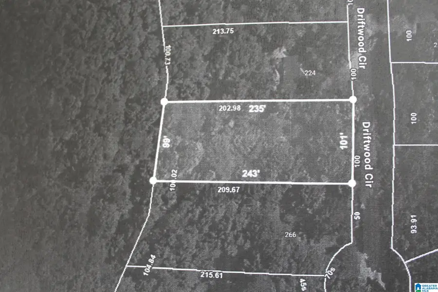 246 DRIFTWOOD CIRCLE, Pinson, AL 35126 - #2