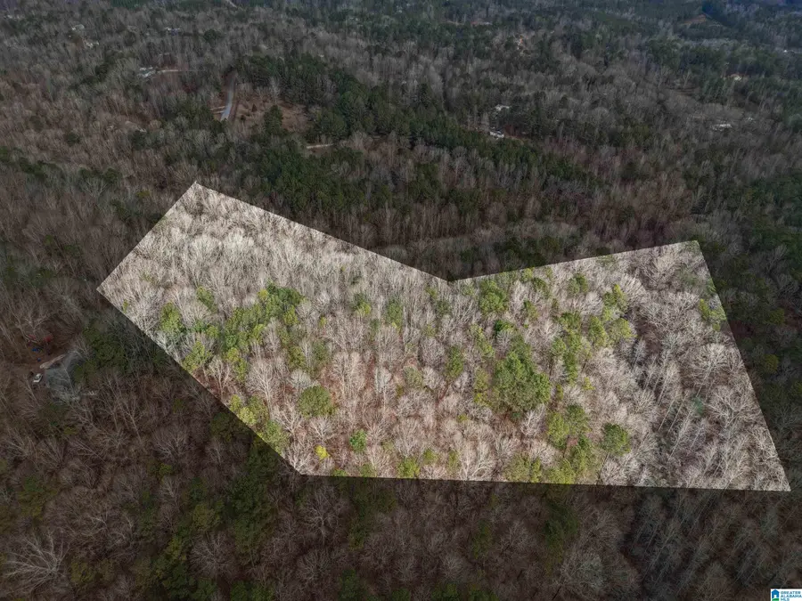 000 HILLVIEW DRIVE, Pell City, AL 35125 - Image #2