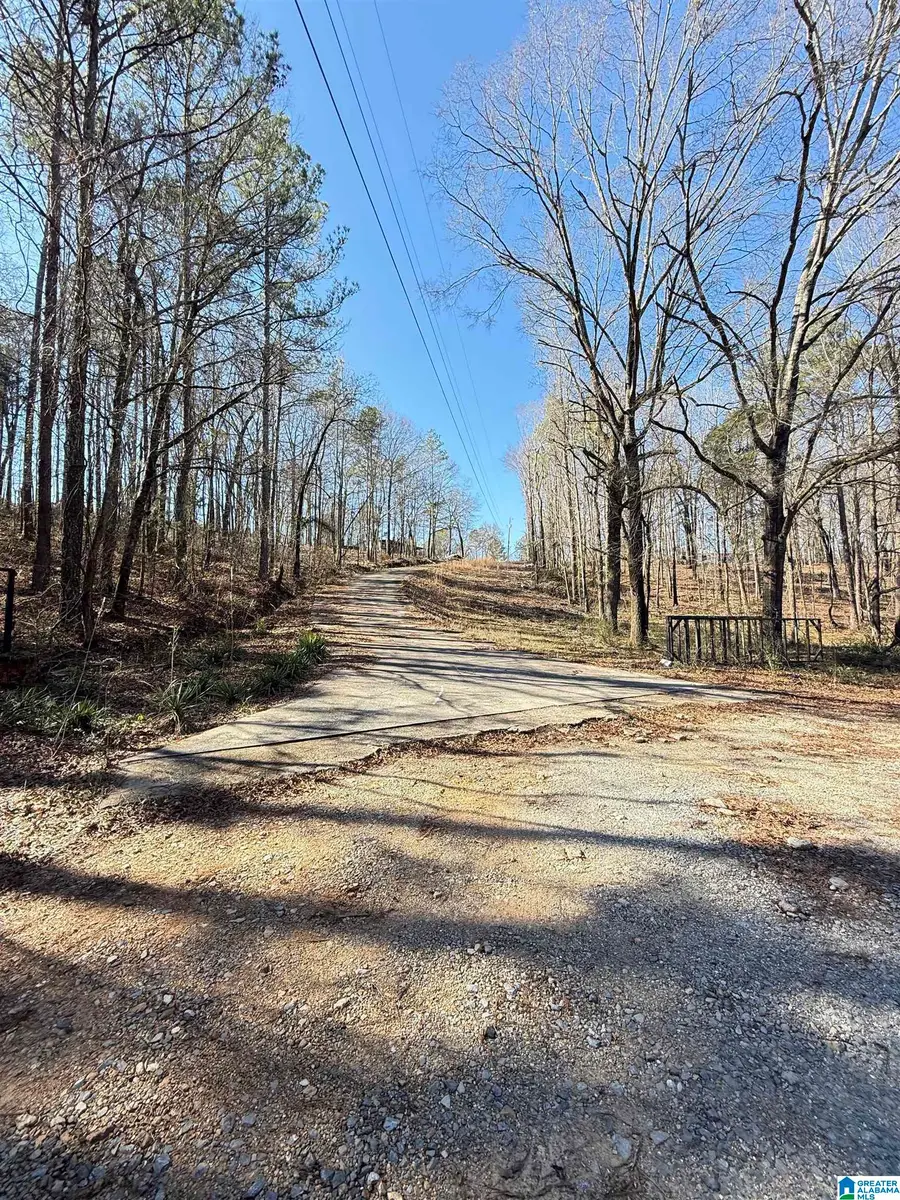295 COUNTRY LANE, Talladega, AL 35160 - Image #2