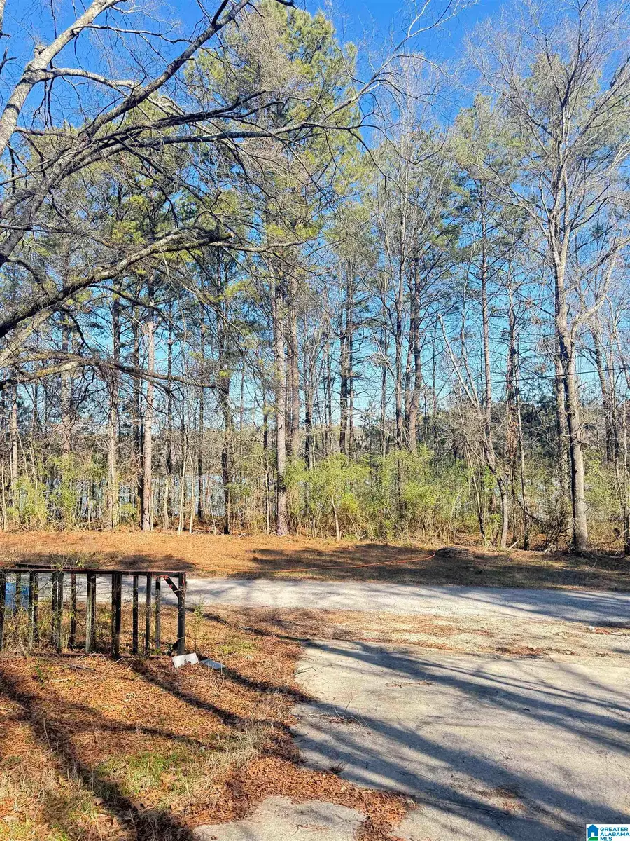 295 COUNTRY LANE, Talladega, AL 35160 - Image #3