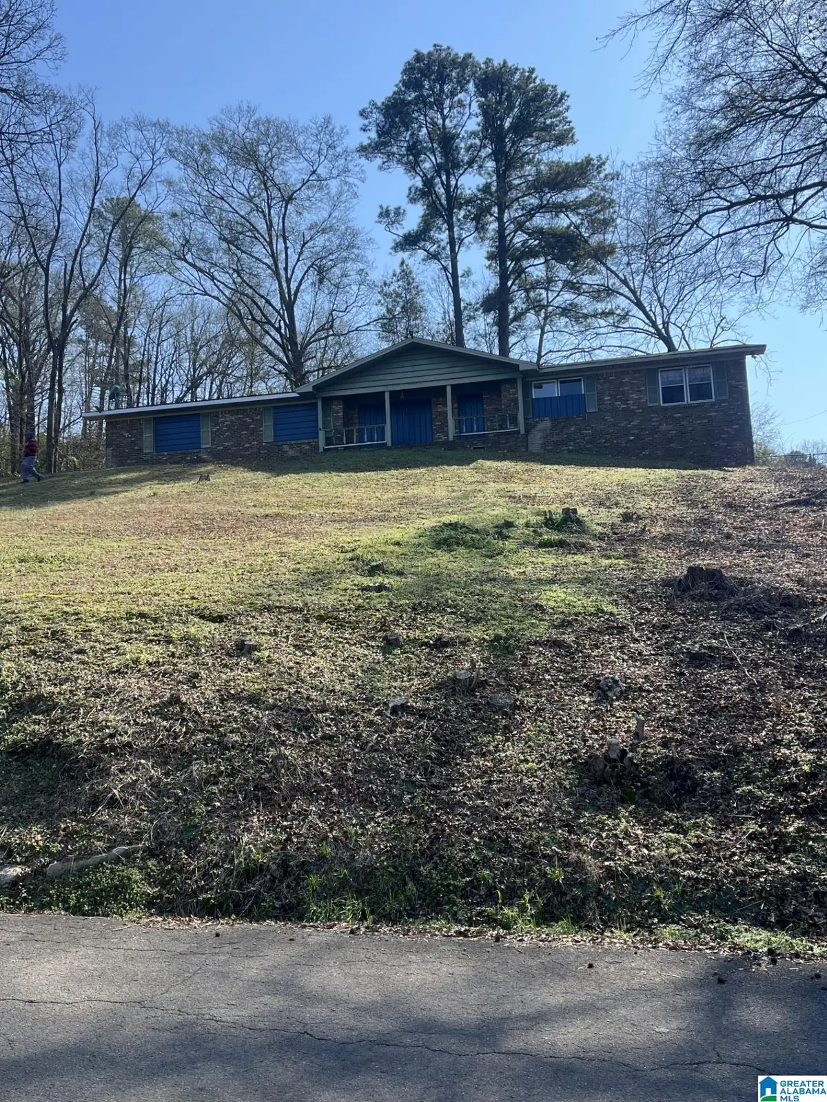 1217 CLUBHOUSE ROAD, Bessemer, AL 35020 - Image #1