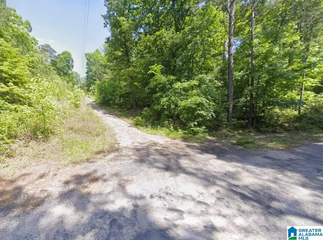 130 EVERGREEN DRIVE, Springville, AL 35146 - Image #1