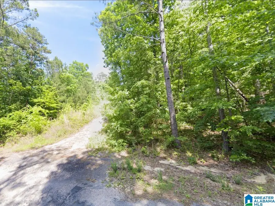 130 EVERGREEN DRIVE, Springville, AL 35146 - Image #2