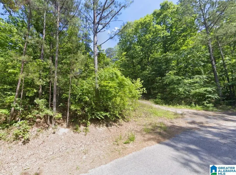 130 EVERGREEN DRIVE, Springville, AL 35146 - Image #3