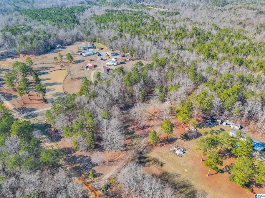 40 COUNTY ROAD 556, Clanton, AL 35046 - Image #3