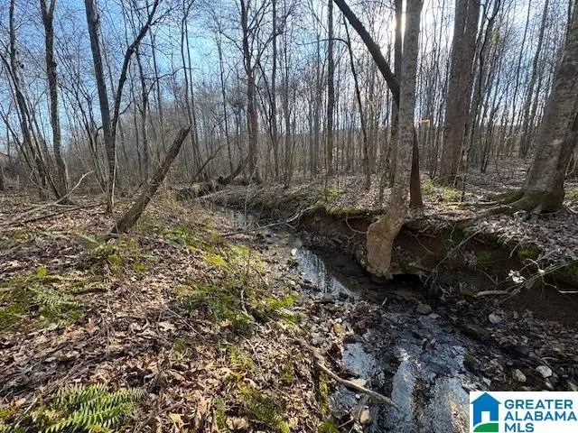 5590 COUNTY ROAD 79, Daviston, AL 36256 - Image #1