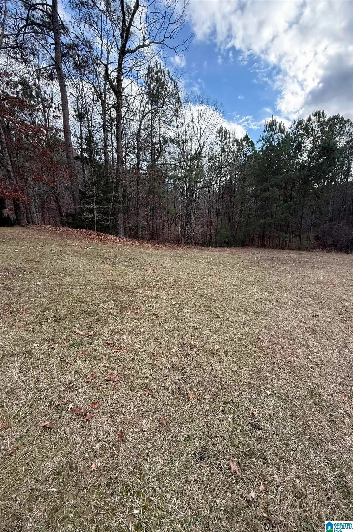 808 BALLANTRAE PARKWAY, Pelham, AL 35124 - Image #1