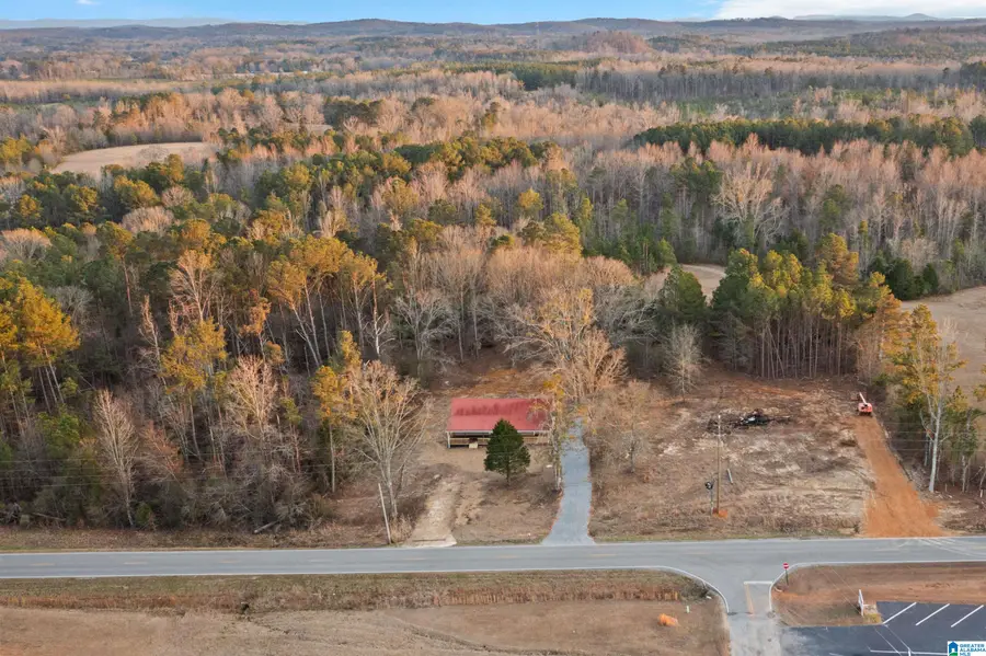 3018 BOILING SPRINGS ROAD, Ohatchee, AL 36271 - Image #3