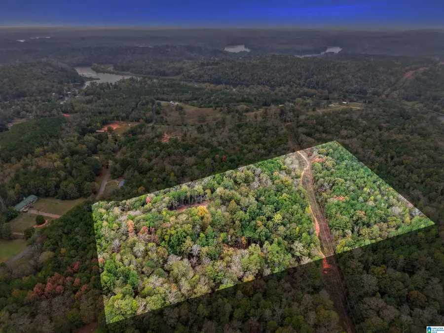 1215 BUDDY VINES CAMP ROAD, Bessemer, AL 35023 - Image #3