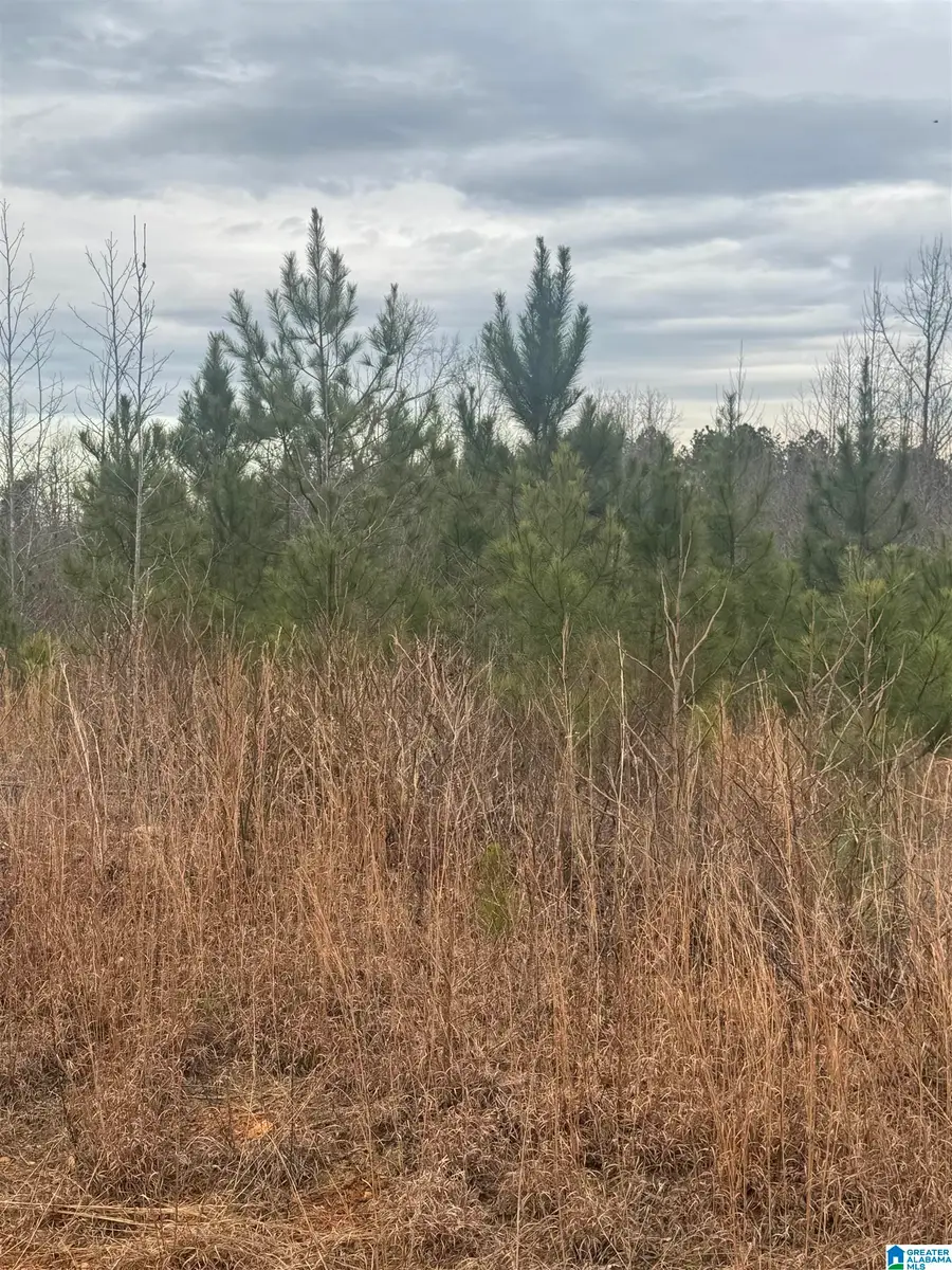 1661 COUNTY ROAD 637, Roanoke, AL 36274 - Image #2