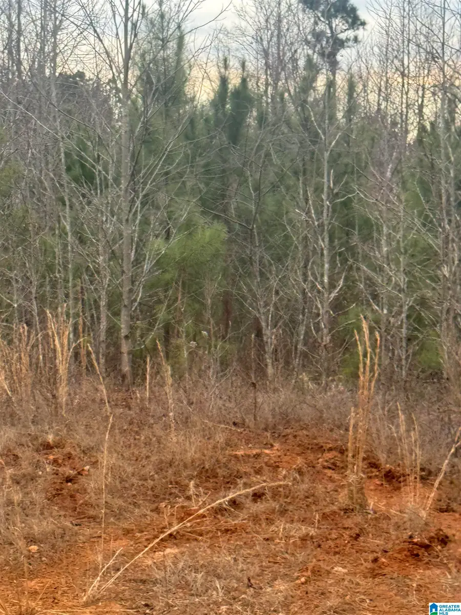 1661 COUNTY ROAD 637, Roanoke, AL 36274 - Image #3