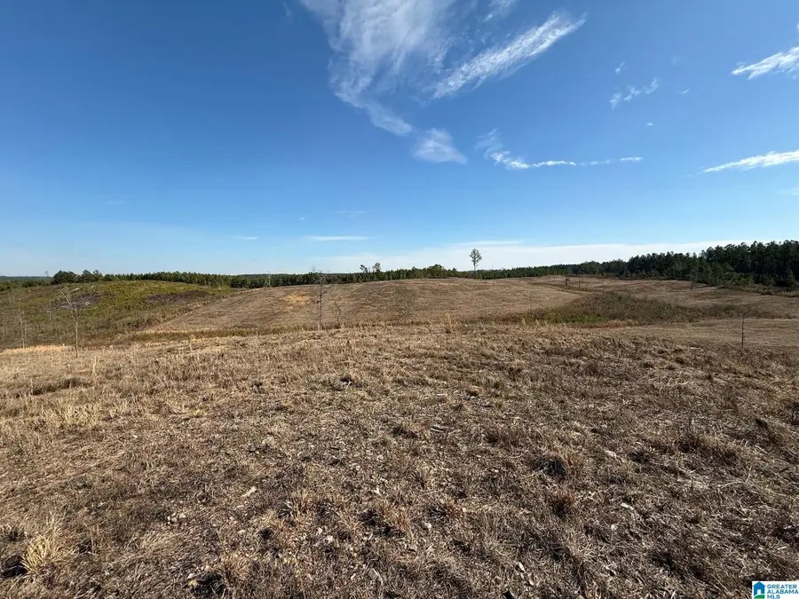 561 LAKEWOOD DRIVE, Columbiana, AL 35051 - Image #2