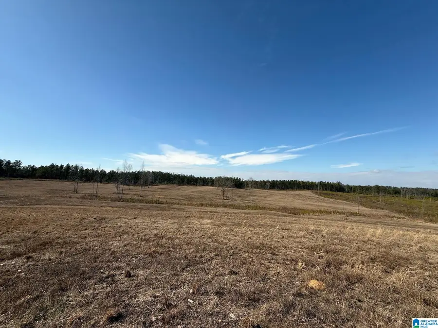 561 LAKEWOOD DRIVE, Columbiana, AL 35051 - Image #3