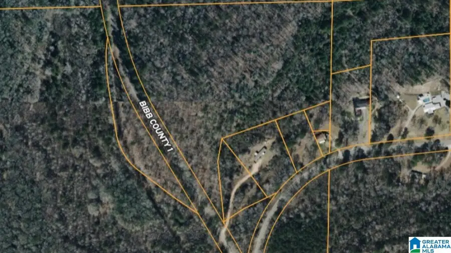 COUNTY ROAD 1, Centreville Brent, AL 35042 - Image #2