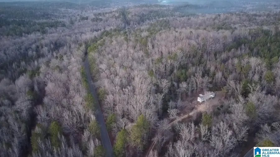 COUNTY ROAD 1, Centreville Brent, AL 35042 - Image #3