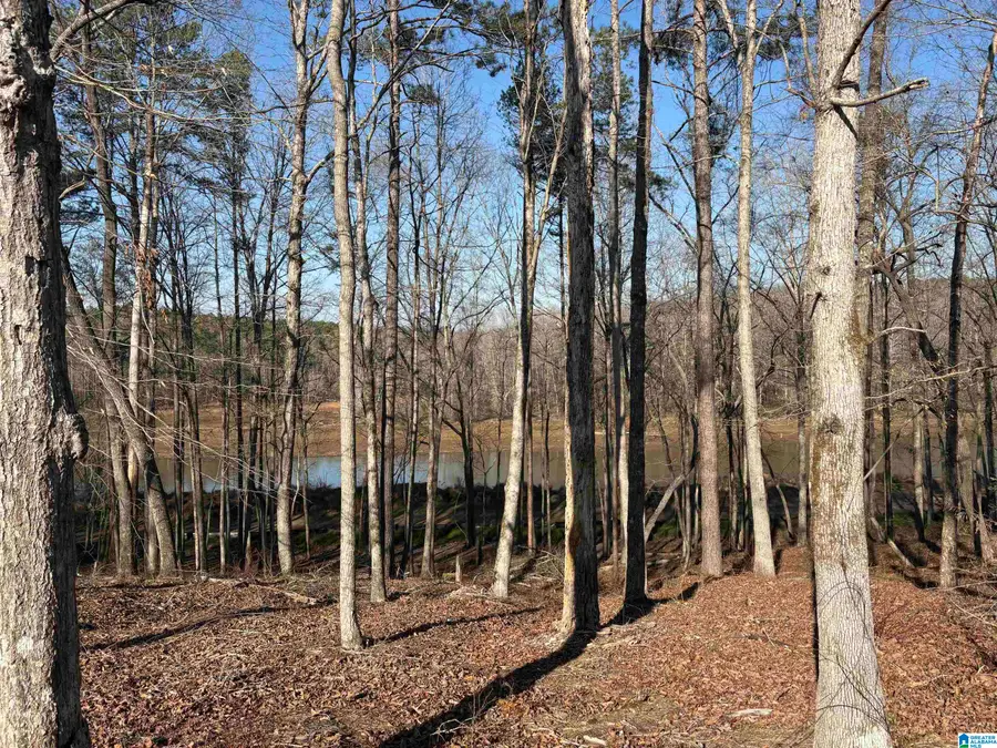 Lot 12 COUNTY ROAD 499, Woodland, AL 36280 - #3