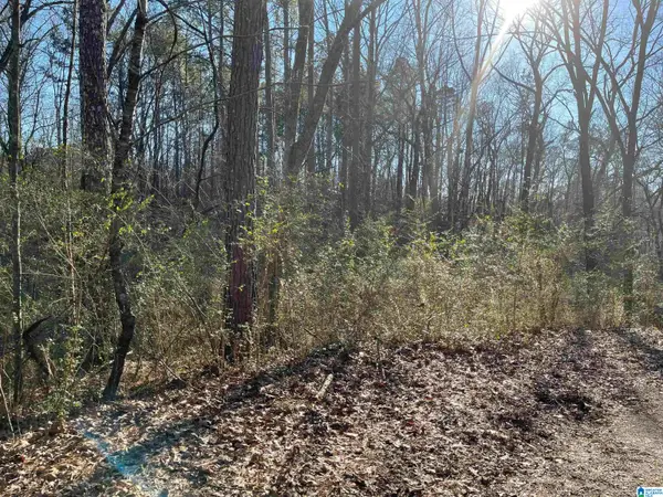 6123 ALEXANDRIA JACKSONVILLE HIGHWAY, Jacksonville, AL 36265