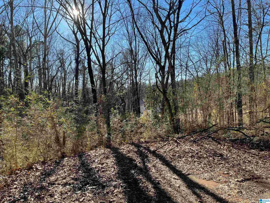 6123 ALEXANDRIA JACKSONVILLE HIGHWAY, Jacksonville, AL 36265 - #2