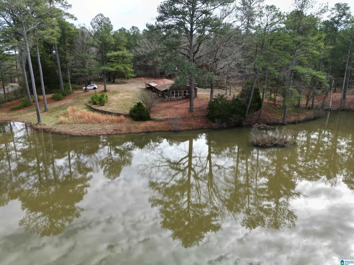 48839 S ALABAMA HIGHWAY 25, Sterrett, AL 35147 - Image #1