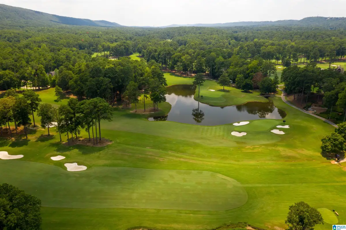 302 CARNOUSTIE, Birmingham, AL 35242 - #1