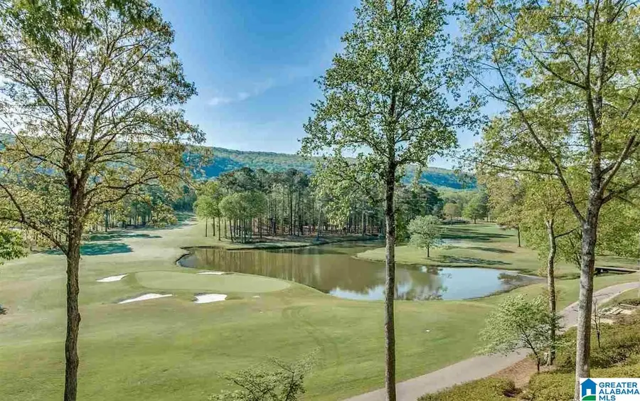 302 CARNOUSTIE, Birmingham, AL 35242 - #2