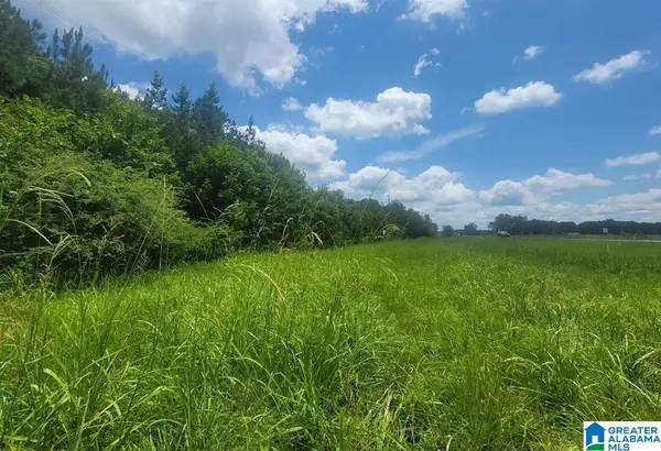 0 HIGHWAY 280, Harpersville, AL 35078