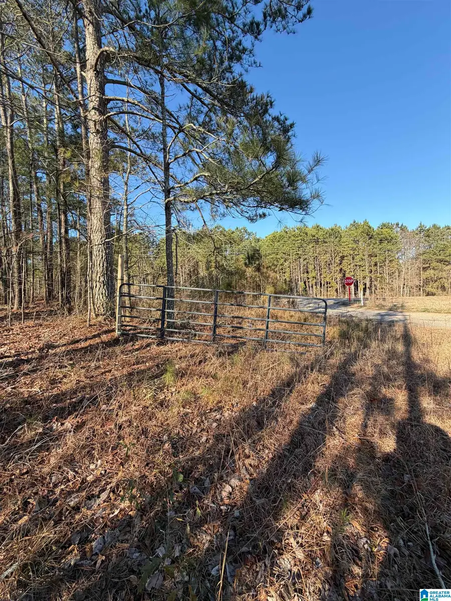 0 RIDGE ROAD, Cragford, AL 36255 - #2