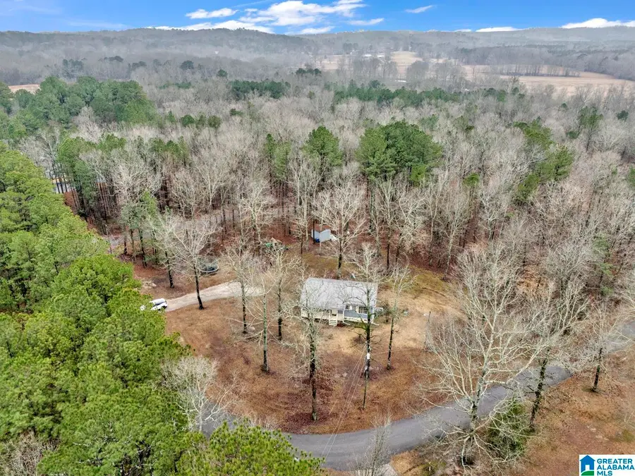 115 CANOE DRIVE, Ashville, AL 35953 - #2