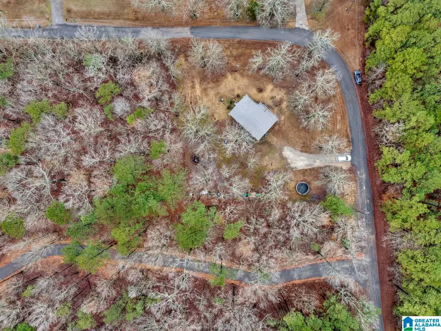 115 CANOE DRIVE, Ashville, AL 35953 - #3