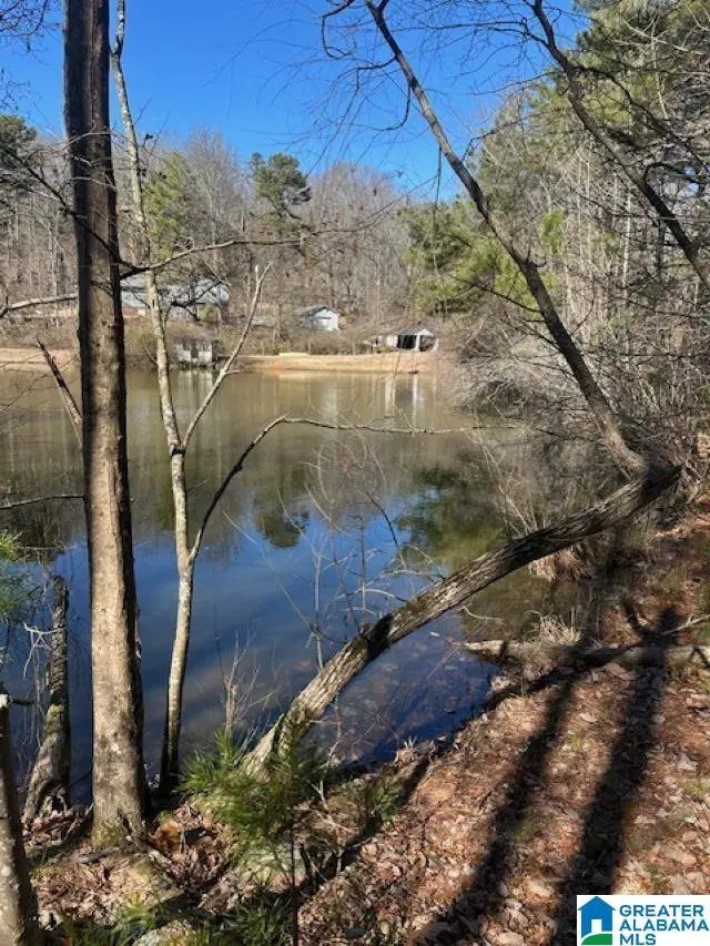 1 MOUNTAIN TOP ROAD, Birmingham, AL 35242 - #1