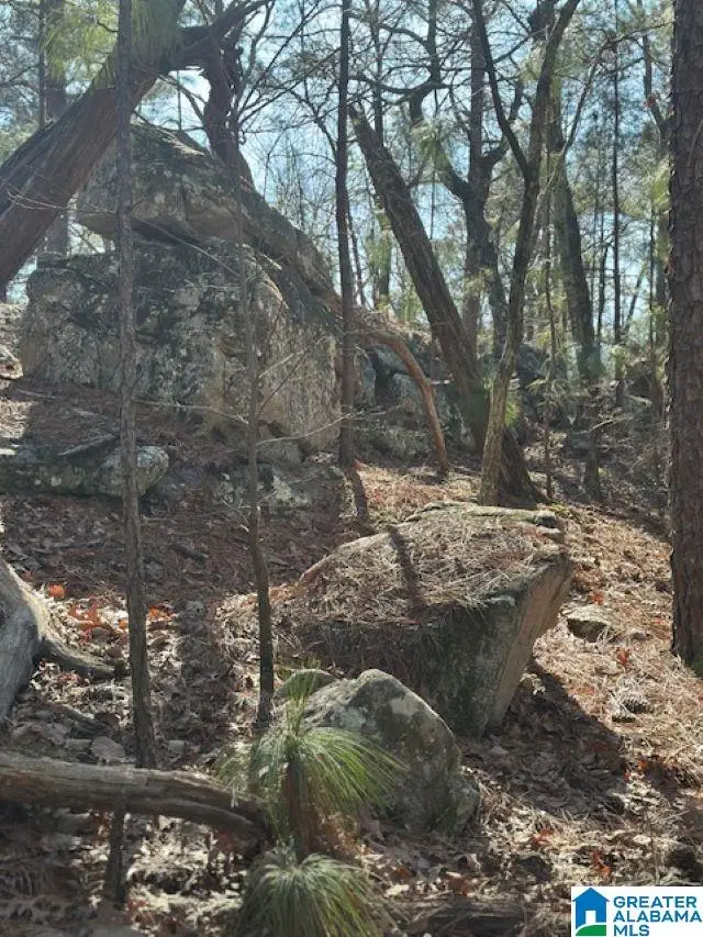 1 MOUNTAIN TOP ROAD, Birmingham, AL 35242 - #3