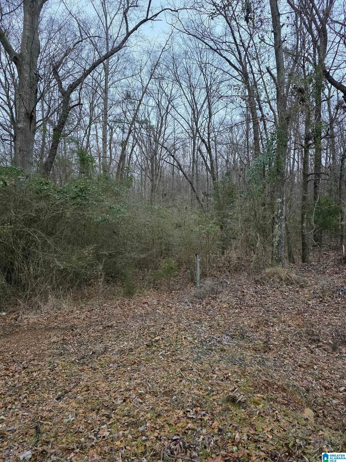 322 TUCKER ROAD, Talladega, AL 35160 - #1