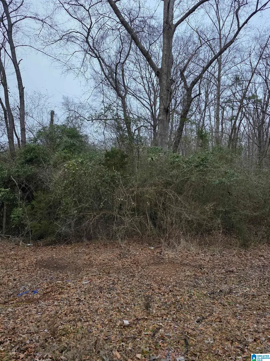 322 TUCKER ROAD, Talladega, AL 35160 - #2