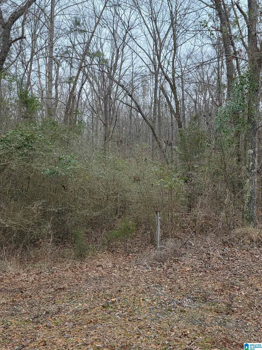 322 TUCKER ROAD, Talladega, AL 35160 - #3