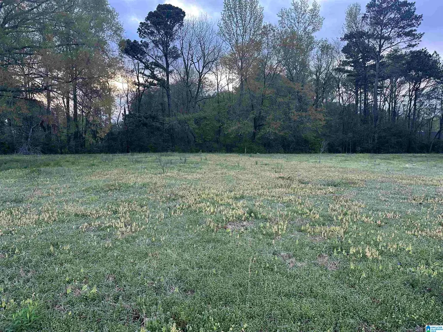 0 BROOKSIDE LANE, Oxford, AL 36203 - #3