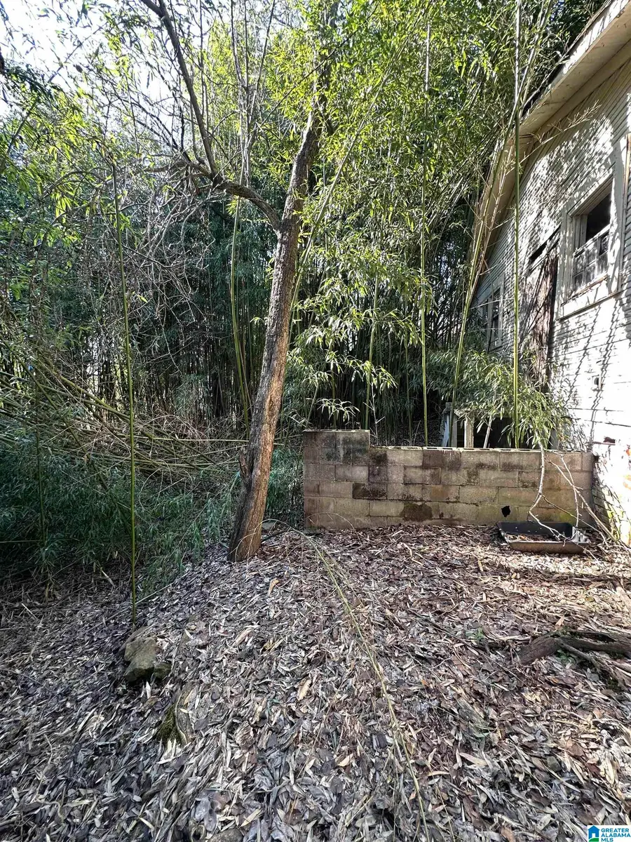 4315 5TH AVENUE, Birmingham, AL 35224 - #3