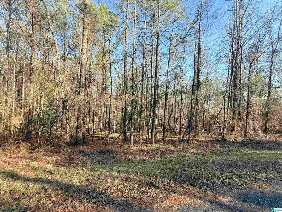 HIGHLAND STREET, Glencoe, AL 35903 - #3