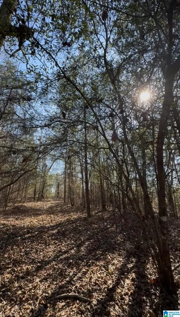 10 ROCKYVIEW ROAD, West blocton, AL 35184