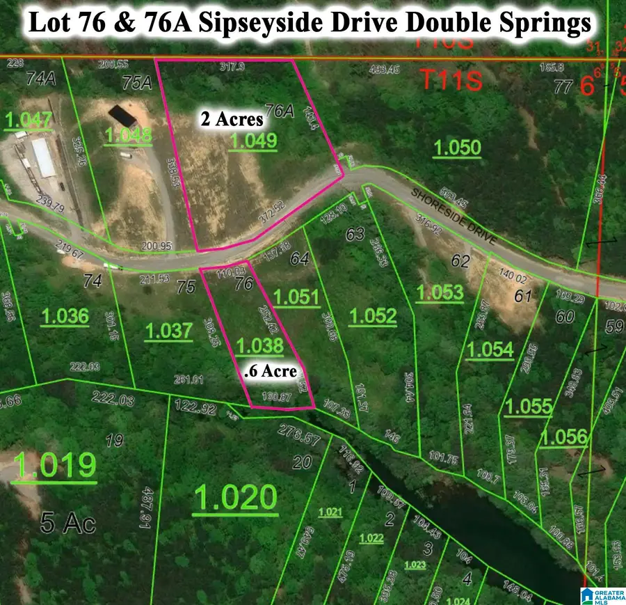 Lot 76/76A SHORESIDE DRIVE, Double Springs, AL 35553 - #2