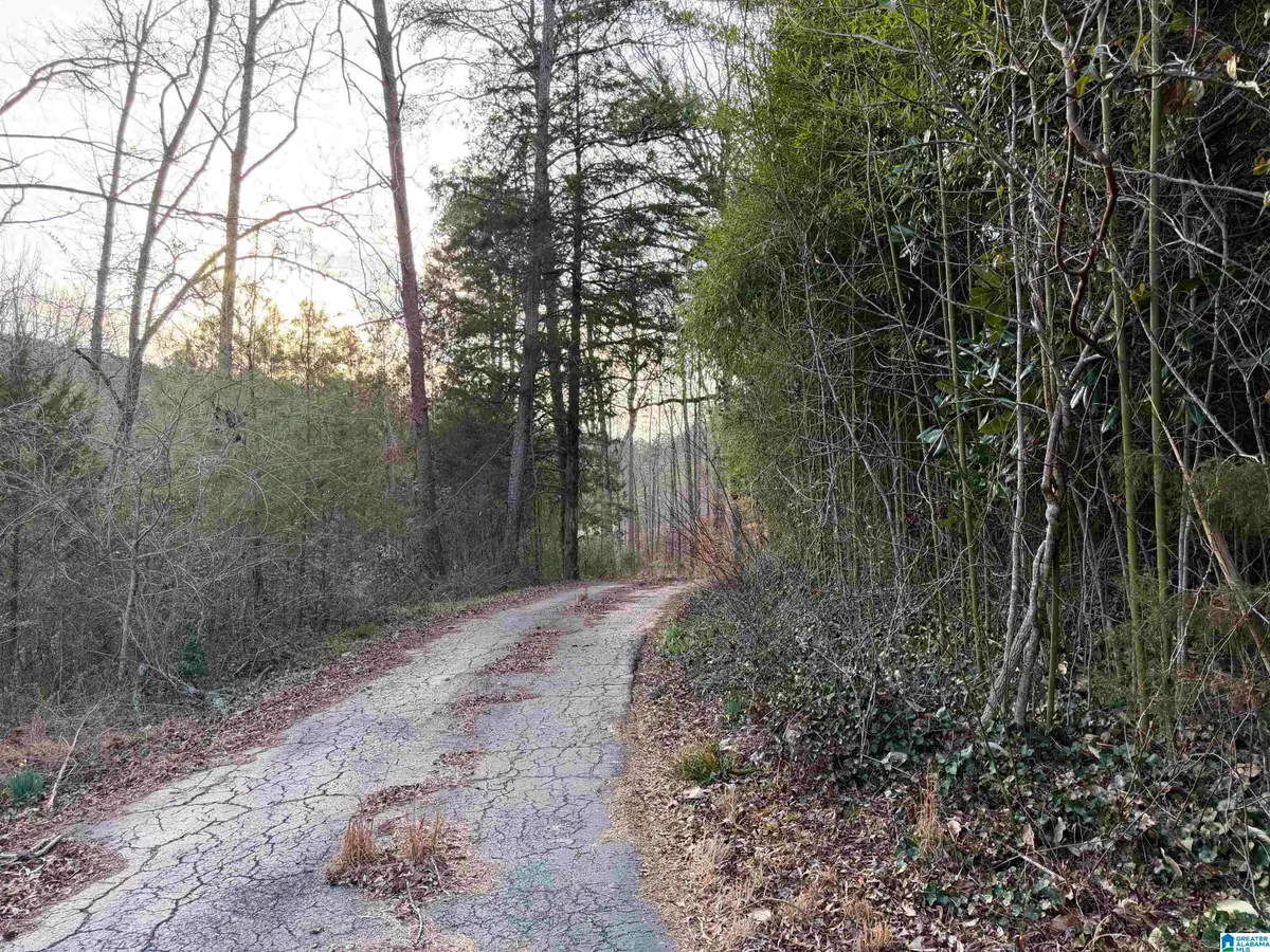 5134 DUG HOLLOW ROAD, Pinson, AL 35126 - #1