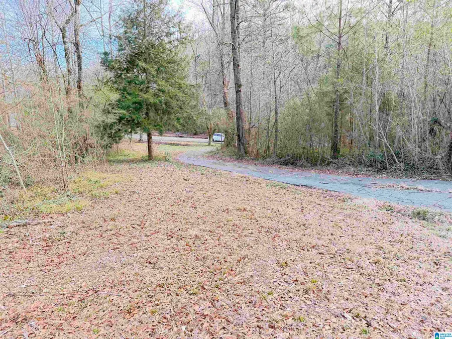 5134 DUG HOLLOW ROAD, Pinson, AL 35126 - #3