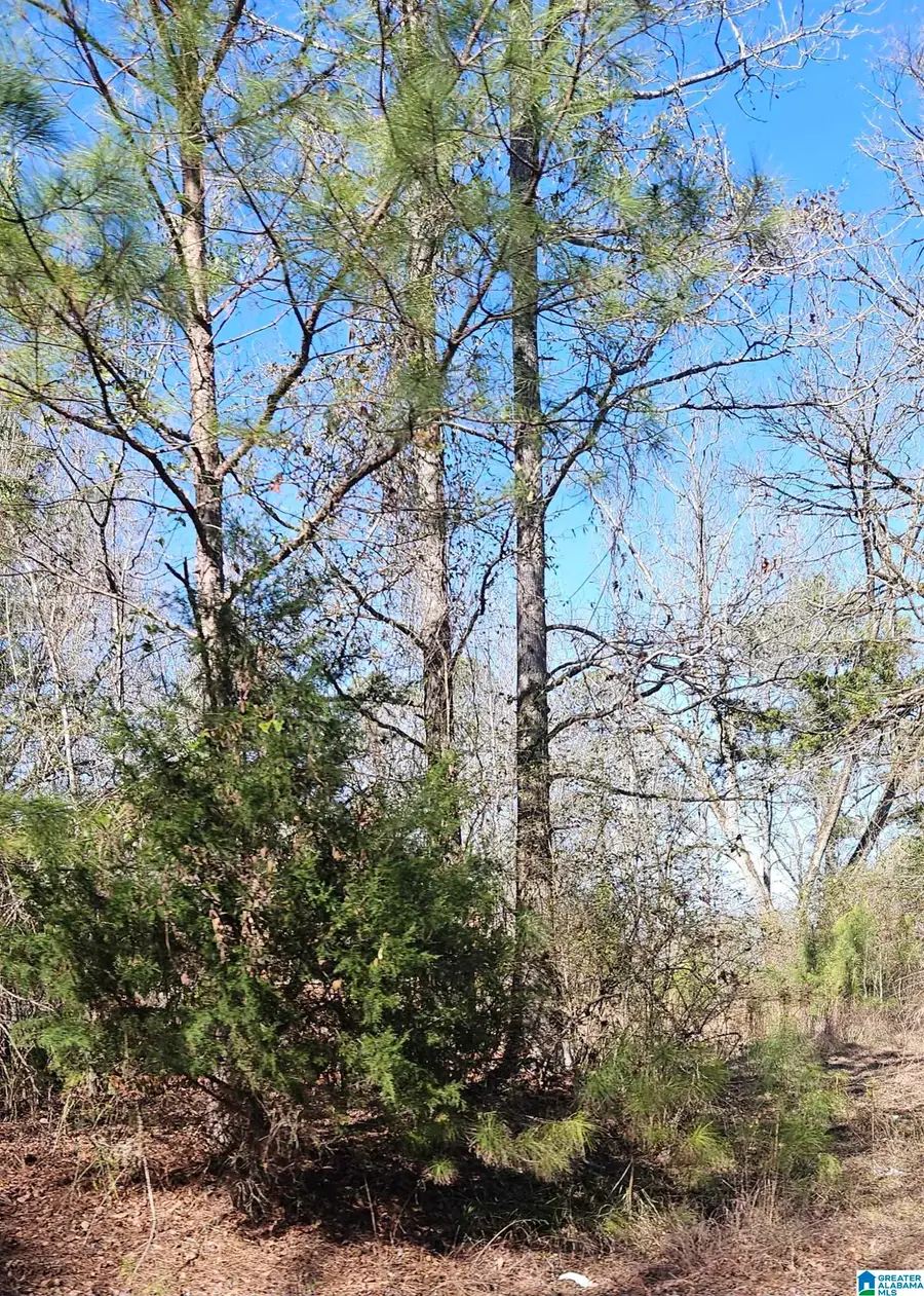 0 COUNTY ROAD 36, Randolph, AL 36792 - #2