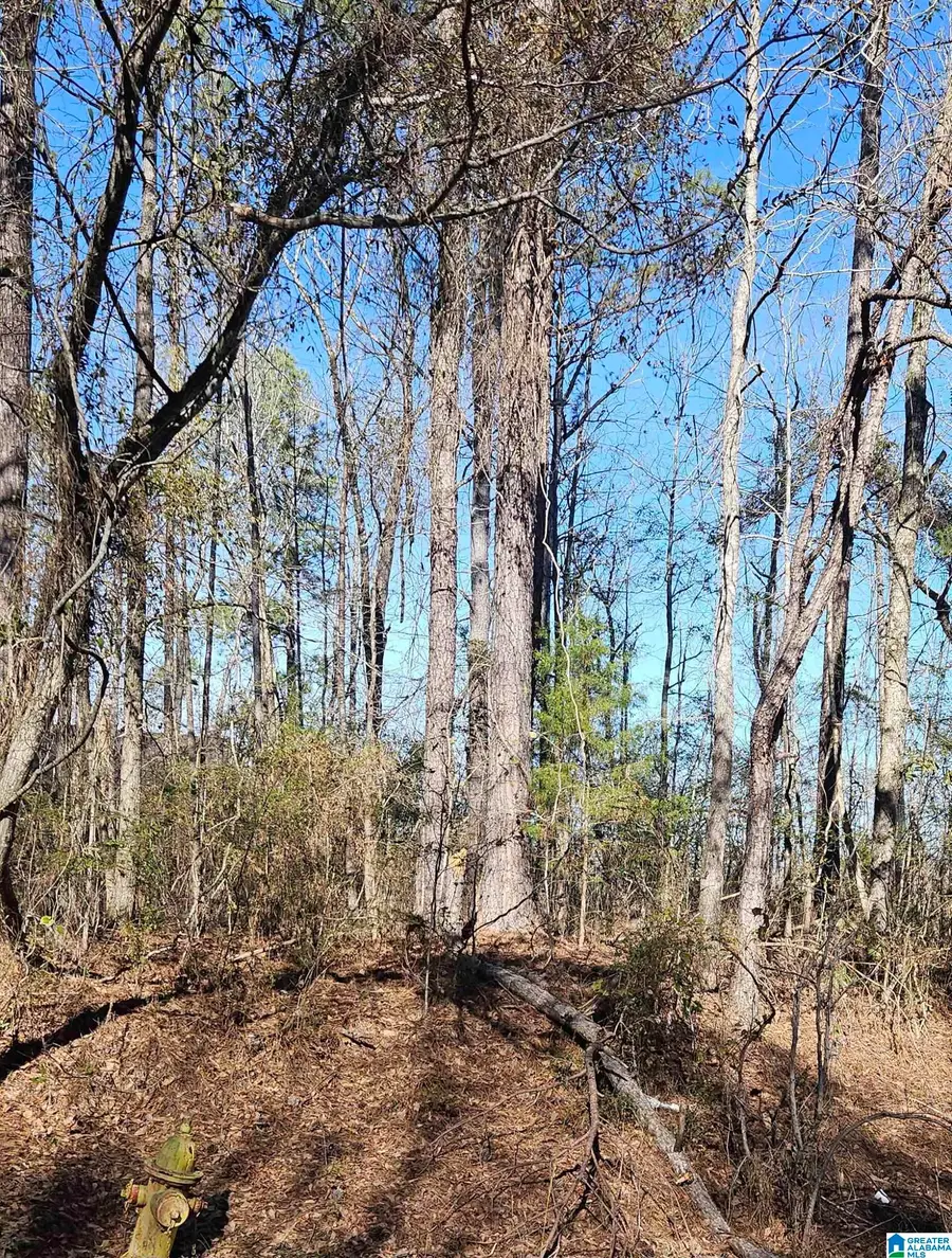 0 COUNTY ROAD 36, Randolph, AL 36792 - #3